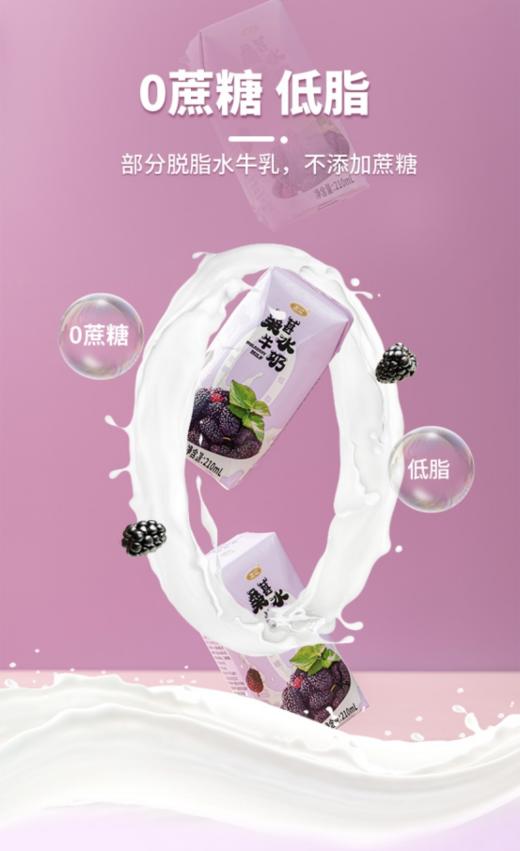 🥳【左江桑葚水牛奶】奶中贵族🥛0蔗糖低脂🥰比一般的牛奶浓稠🥳优质乳蛋白🥳花青素满满缔造营养💯新高度自然清甜唇齿留香每一😍口都像是在吃化掉的冰淇淋 商品图3