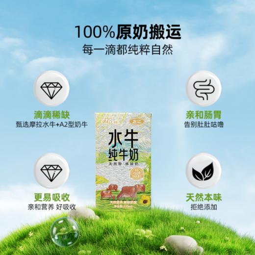 🤩【左江a2β-酪蛋白水牛纯牛奶】🔻专为小朋友定制的左江A2水牛纯牛奶，🙈小小一盒营养满分💯！ 当妈妈的都知道💥，宝宝的“吃喝”总是难题 商品图4