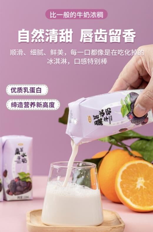 🥳【左江桑葚水牛奶】奶中贵族🥛0蔗糖低脂🥰比一般的牛奶浓稠🥳优质乳蛋白🥳花青素满满缔造营养💯新高度自然清甜唇齿留香每一😍口都像是在吃化掉的冰淇淋 商品图2