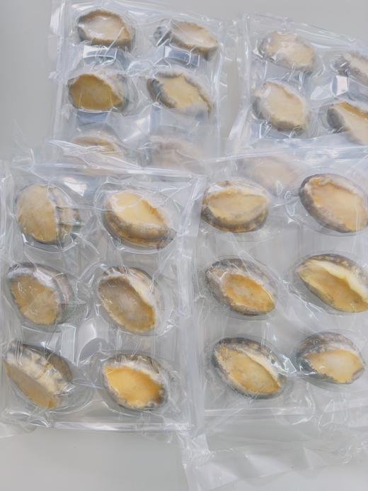 旅顺活冻鲍鱼450-500g/盒，6头/盒，品质媲美活鲍鱼，质量好，鲍鱼在鲜活状态下快速冷冻处理，最大程度保留鲜度和营养新鲜速冻，肉质紧实鲜嫩，东三省包邮。 商品图4