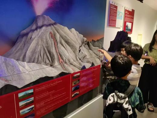 博物探索营——在玩乐中探索，学习中成长，点亮孩子的好奇心！ 商品图2