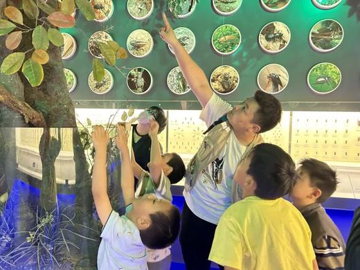 博物探索营——在玩乐中探索，学习中成长，点亮孩子的好奇心！ 商品图3