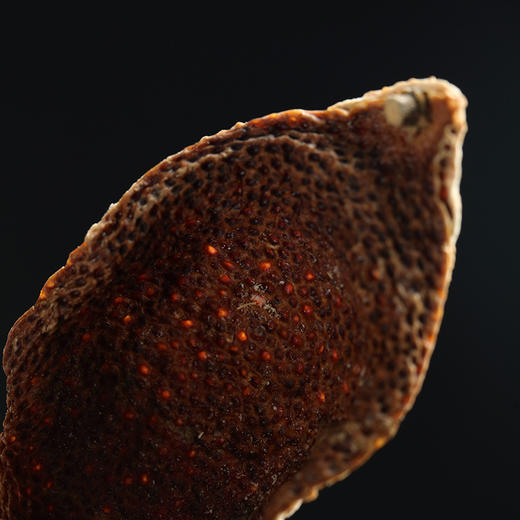 益柑柠丨牛皮 2010年新会陈皮 东甲牛比围 （整皮）150g 收藏礼盒装 商品图4