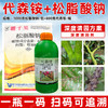 大鹏松脂酸钠代森铵植悦清果园清园灵宝蚧介壳虫杀虫剂正品清园剂 商品缩略图3
