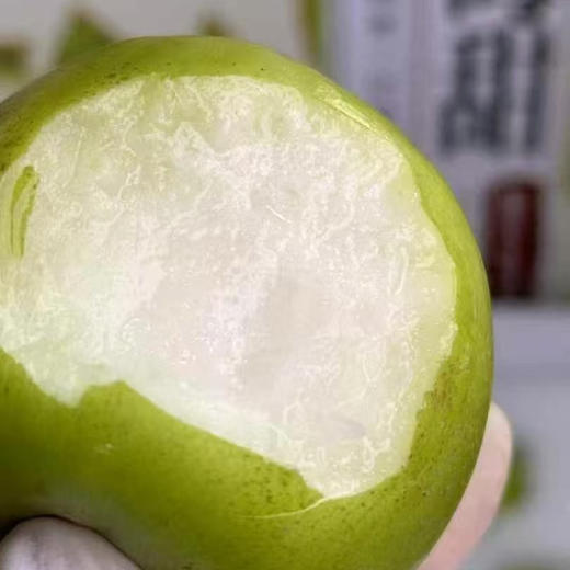 【苹果枣】清甜爽口 天然维C小金矿，颠覆你印象的苹果枣。皮薄果脆，如牛奶般润白，肉厚核小 商品图0