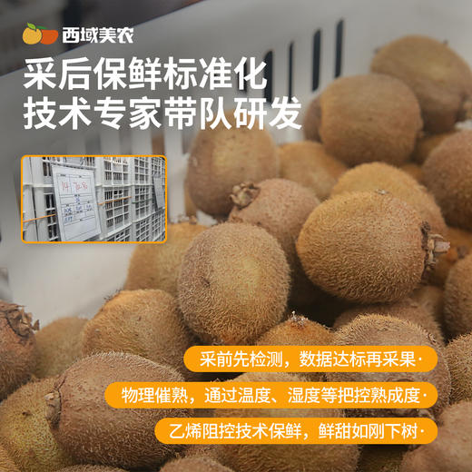 【无需催熟！】硬果就够好吃的，西域美农即食猕猴桃，瑞玉猕猴桃，不用等软！顺丰发货 商品图3