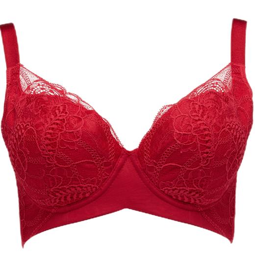 贝佳人新品胸托显胸小内衣女聚拢缩胸上托侧收胸衣聚拢调整型文胸 商品图0