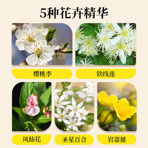 Bach应急花精喷雾7ml/20ml 商品图1