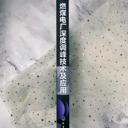燃煤电厂深度调峰技术及应用 商品图5
