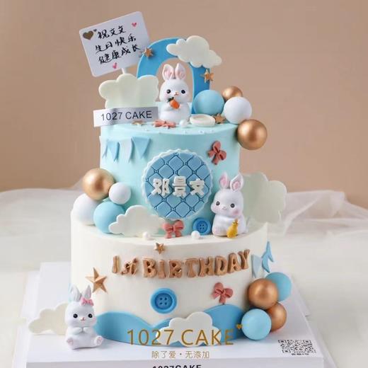 1027CAKE |  满月 百天 周岁蛋糕 兔子宝宝主题 颜色生肖可更改 商品图0
