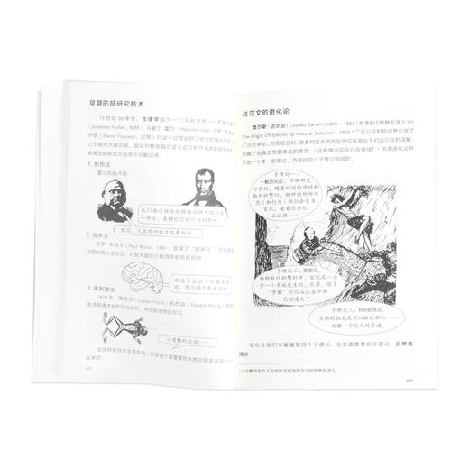 心理学 奈杰尔·C·班森 著 图画通识丛书 三联书店旗舰店 商品图3