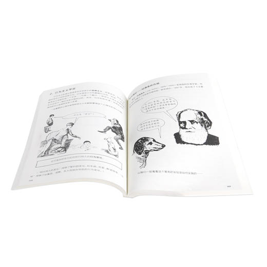 心理学 奈杰尔·C·班森 著 图画通识丛书 三联书店旗舰店 商品图1