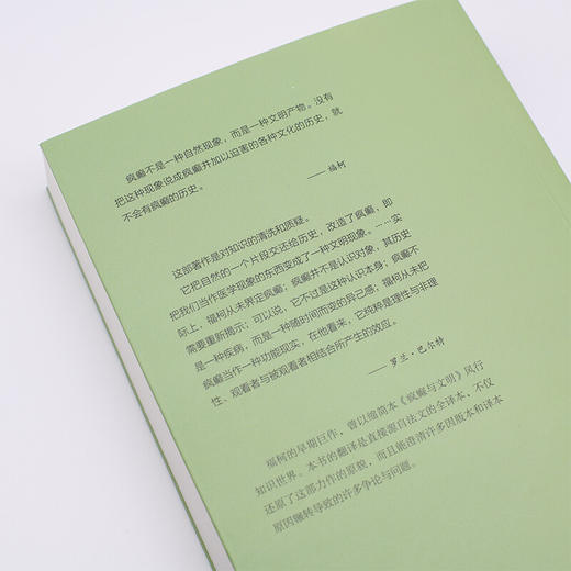 古典时代疯狂史 歇尔福柯 著 哲学史 外国哲学 世界通史 三联书店 商品图4