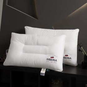 【精选】诗梦姿 A类枕芯全棉枕头 舒适承托辅助睡眠 柔软舒适单人枕芯 弹性持久耐磨耐用