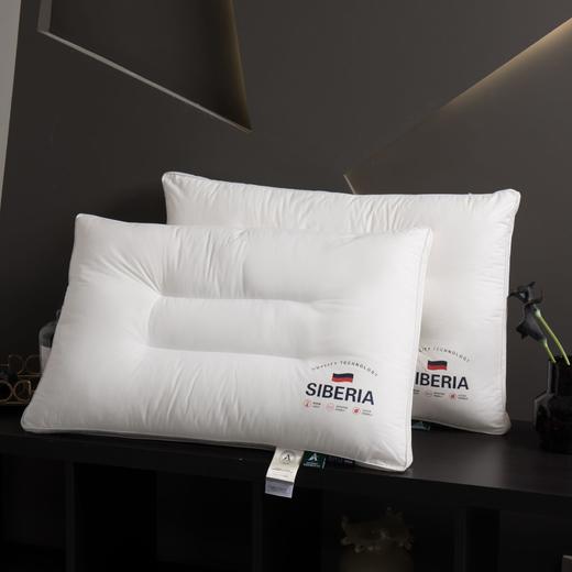 【精选】诗梦姿 A类枕芯全棉枕头 舒适承托辅助睡眠 柔软舒适单人枕芯 弹性持久耐磨耐用 商品图0