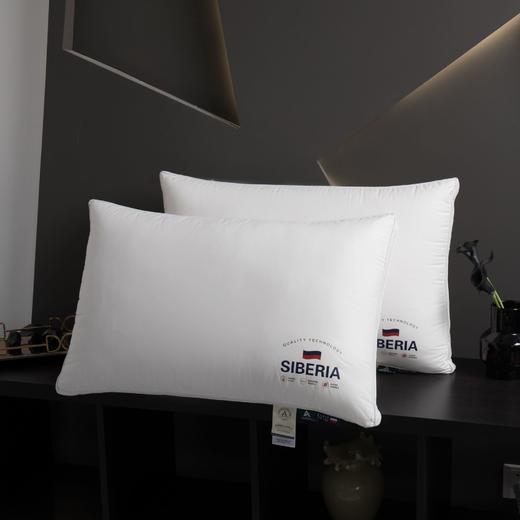 【精选】诗梦姿 A类枕芯全棉枕头 舒适承托辅助睡眠 柔软舒适单人枕芯 弹性持久耐磨耐用 商品图3