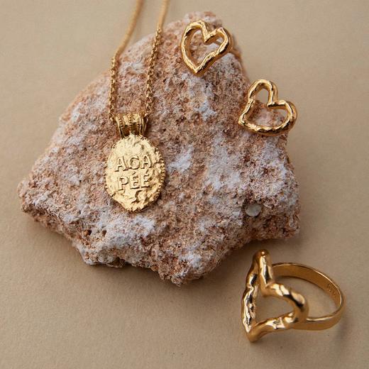 在途4周到｜Agapee-DENARIA-奖章 项链［法国设计师］ 商品图3