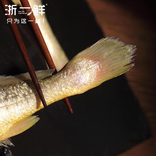 浙一鲜南麂黄鱼礼盒送礼佳品 温州地区包邮 商品图7