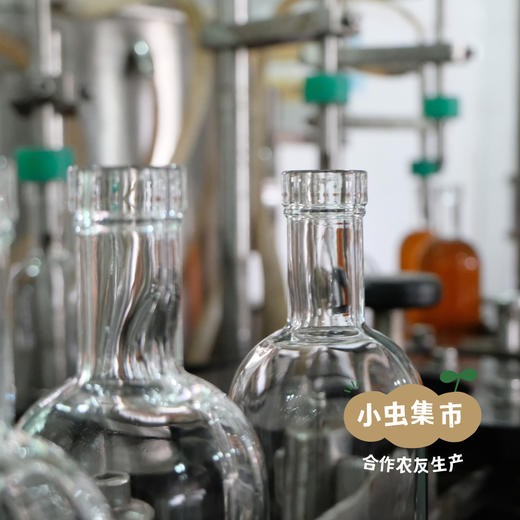 生态青梅酒 500ml/瓶 | 合作农友生产，产自从化仙娘溪，生产者：原乡梅好合作社 *【公平贸易农人定价】 商品图13