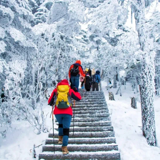 云南｜12.27周六轿子雪山景区路线一日游，成人儿童都可以去，惊艳雪景冰瀑，秋冬轿子雪山原始森林，昆明往返，登顶禄劝最高峰！