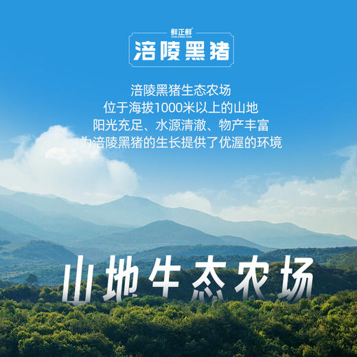 心选丨鲜正鲜涪陵黑猪肉精排/五花/梅花/里脊4斤组合装加送1斤 商品图2