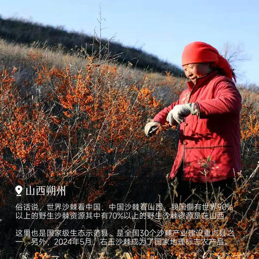 预售7天【⭐买4份送1盒】【板娘新鲜定制 沙棘原浆】2盒装（每盒50ml*10支）王牌归来~湖州仓 商品图6