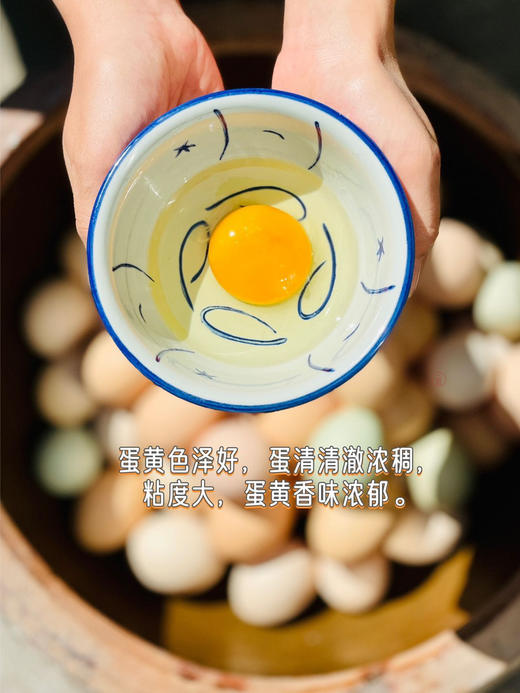 【第二箱半价】竹林跑鸡蛋40枚 商品图0