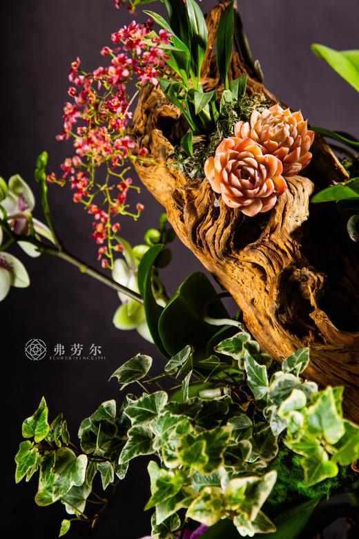 福蛇迎春 商品图4