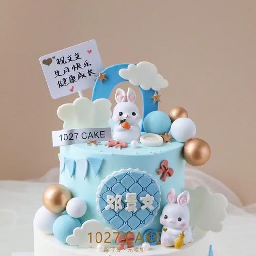 1027CAKE |  满月 百天 周岁蛋糕 兔子宝宝主题 颜色生肖可更改 商品图2