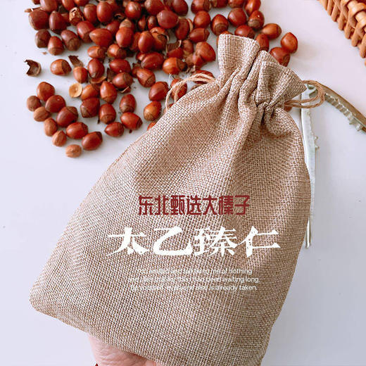 【分仓直发包邮】太乙臻仁东北大榛子500g/袋（2袋/4袋可选） 商品图0