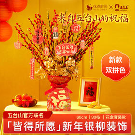 【30枝·新款双拼色·皆得所愿】新年银柳花盒套装款 | 新客福利