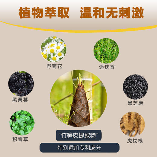 DOUP一次性白发遮盖笔20ml 黑色/棕色多规格可选 商品图5