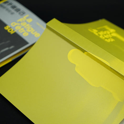 疲于做自己：抑郁症与社会 （守望者·人间世）荣获2025傅雷翻译出版奖 商品图4