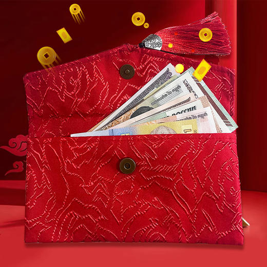 【金蛇献瑞】贺岁大红包 爆火蛇钞+20张外币红包，创意新年压岁钱红包 商品图4