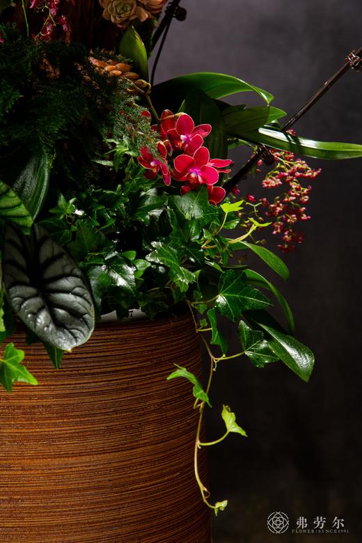 龙蛇飞动 商品图3