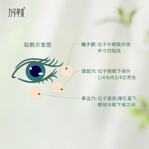 「决明润眼贴」眼睛干涩用决明润 商品图1