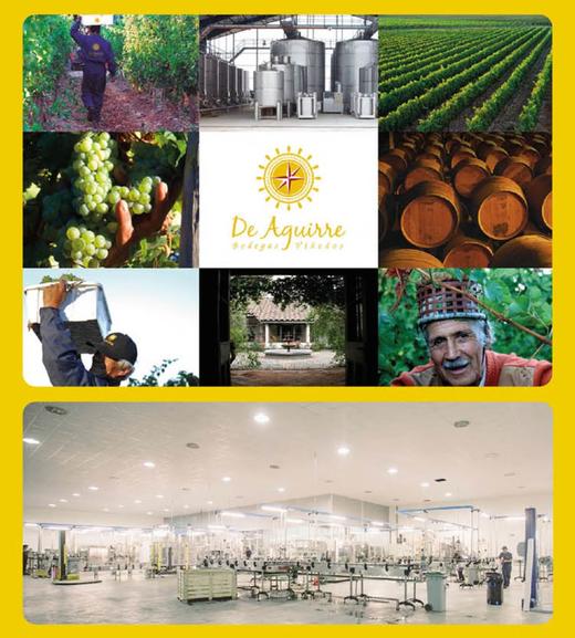 大黄狗智利进口大黄狗西拉干红葡萄酒 750ml 单支750ml 【直选好酒】  KLJB 商品图3