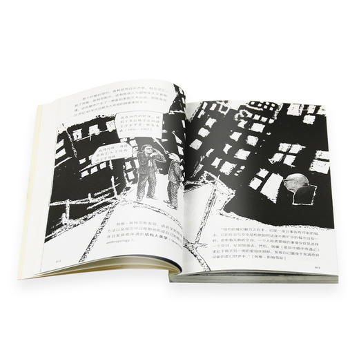 图画通识丛书 列维 斯特劳斯 鲍里斯 魏斯曼 文 著 三联书店 商品图3