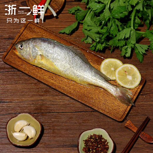 浙一鲜南麂黄鱼礼盒送礼佳品 温州地区包邮 商品图3