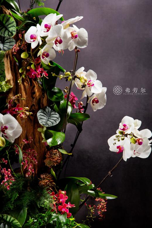 龙蛇飞动 商品图2