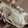 【送豪华3件套】乳山生蚝 净重4-4.5斤 肥美鲜甜 现捞现发 商品缩略图3