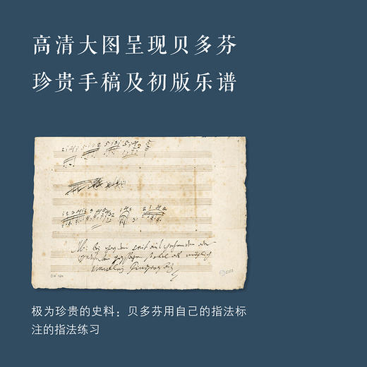 现货我的贝多芬：与大师一起生活 鲁道夫•布赫宾德 著 三联书店 商品图1