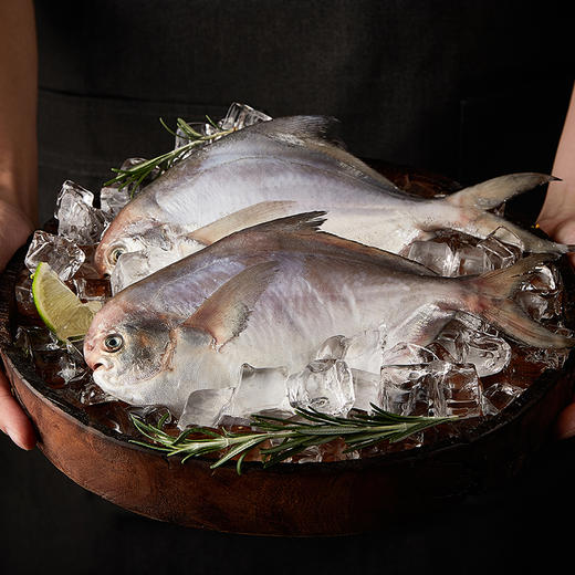 渔老板 环球海鲜冻品礼盒 优质海产品 三门县海岸线养殖 冷链运送 年货送礼福利团购 商品图3