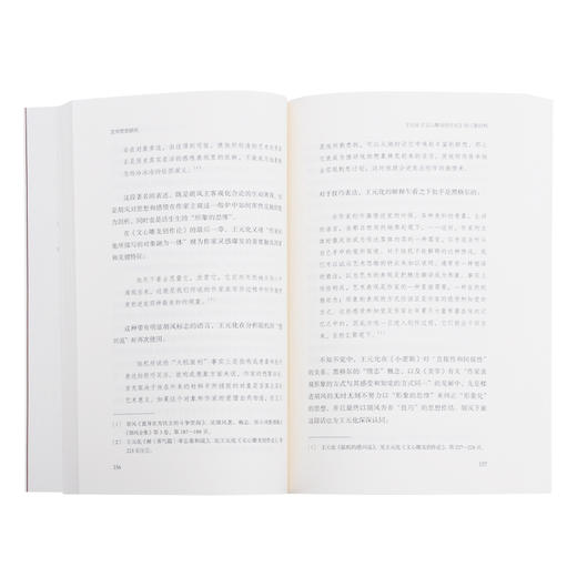 文学思想研究 第一辑 沙红兵 编 三联书店 商品图2