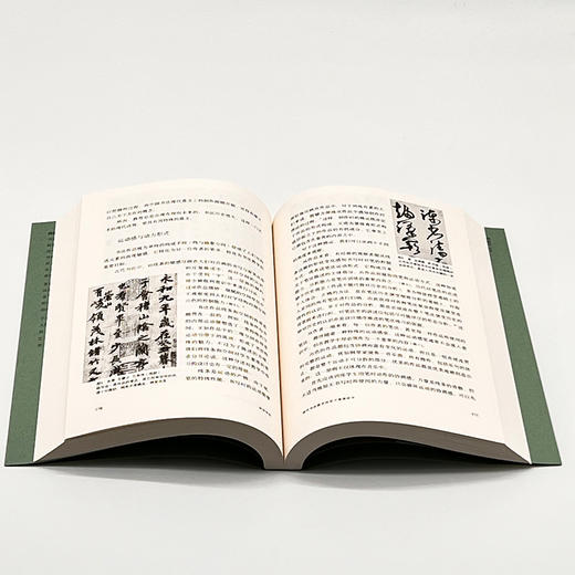 神居何所（修订版） 邱振中 著 三脸书店 商品图2