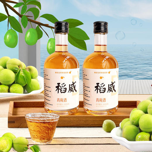 稻威 青梅酒 清爽酸甜 果香浓郁 375ml*2瓶 送礼袋 商品图5