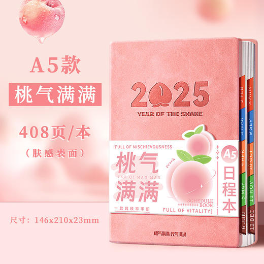A5日程本2025年学生时间管理规划本商务办公效率记事本节日伴手礼 商品图6