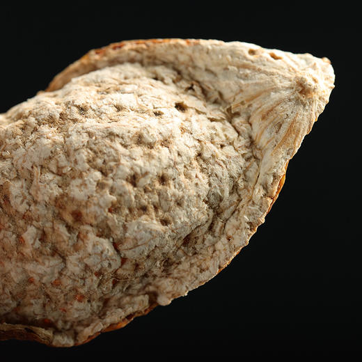 益柑柠丨牛皮 2010年新会陈皮 东甲牛比围 （整皮）150g 收藏礼盒装 商品图8