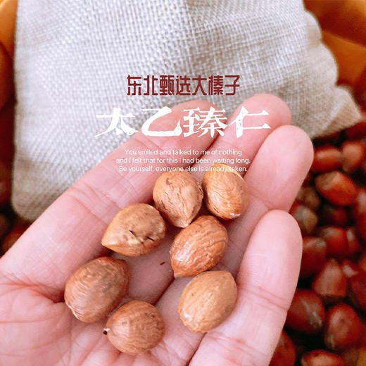 【分仓直发包邮】太乙臻仁东北大榛子500g/袋（2袋/4袋可选） 商品图1