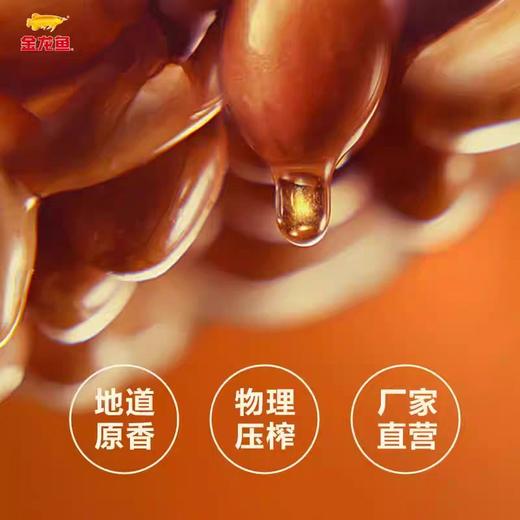 金龙鱼浓香花生油 5L/桶 商品图2